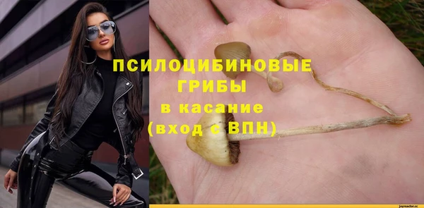 СК Нефтегорск