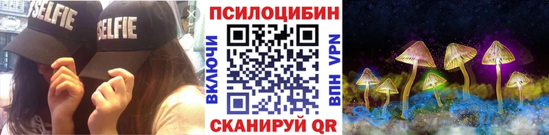 Купить  Самара  Галлюциногенные грибы Psilocybe 